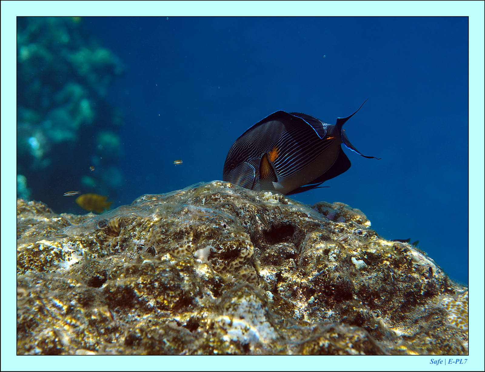 Hurghada - Aout 2021 - 043